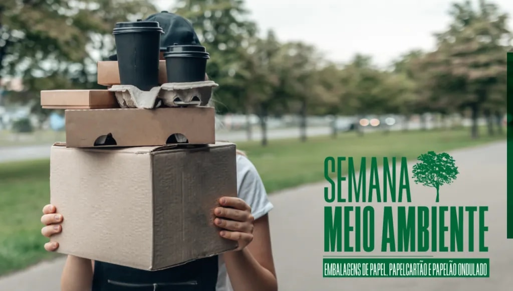 Iniciativas relevantes adotadas pelo setor de Embalagens de papel, papelcartão e papelão ondulado — imagem 1