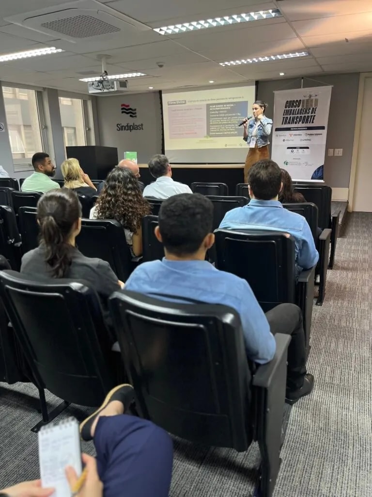 Curso Embalagens de Transporte 2025 — foto 10