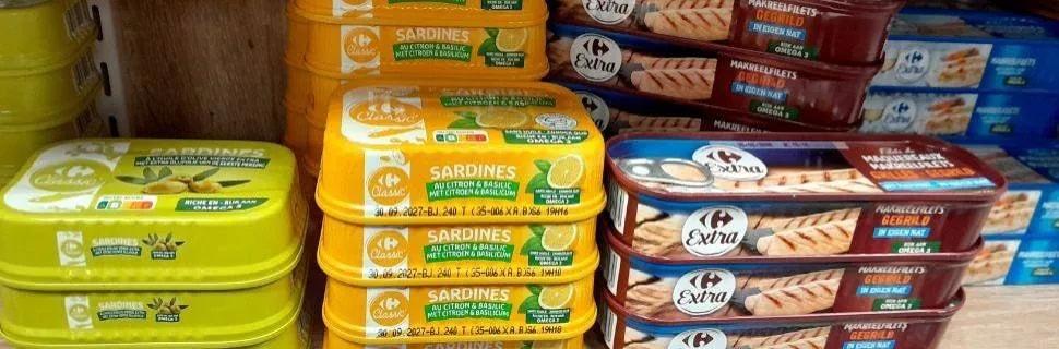 Capa: Como especialistas em embalagens inovam a indústria do pescado